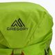 Рюкзак для скелелазіння Gregory Alpinisto 35 l зелений 02J*04041 5