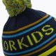 Шапка зимова дитяча Color Kids Hat Logo CK sulphur spring 4