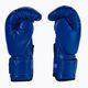 Рукавиці боксерські дитячі DBX BUSHIDO ARB-407v4 блакитні 5