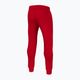 Чоловічі бігові штани Pitbull West Coast New Hilltop Jogging червоні 4
