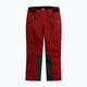 Чоловічі гірськолижні штани 4F M343 темно-червоні 8