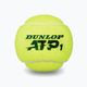 Тенісні м'ячі Dunlop ATP 18 x 4  шт. жовті 601314 4