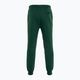 Чоловічі штани PROSTO Digo зелений 2
