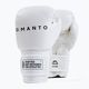Боксерські рукавички MANTO Impact білі