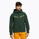 Куртка лижна чоловіча Helly Hansen Alpine Insulated зелена 65874_495