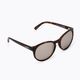 Сонцезахисні окуляри  POC Know коричневі KNOW9012
