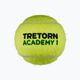 Тенісні м'ячі Tretorn ST1 36 шт. жовті 3T519 474442 2