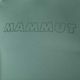 Футболка трекінгова чоловіча Mammut Selun FL Logo зелена 1016-01440-40236-115 6