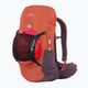 Жіночий туристичний рюкзак Ferrino Hikemaster 24 л brik red 8