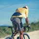 Чоловічі піщані велосипедні шорти Northwave Fast Rock Bibshort 4