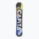 Чоловічий сноуборд CAPiTA Defenders Of Awesome 158 см 3