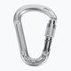 Карабін Climbing Technology Concept SG silver/colour gate