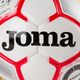 Футбольний м'яч Joma Egeo 400523.206 Розмір 4 3