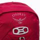 Рюкзак туристичний чоловічий Osprey Talon 22 l червоний 10002710 3