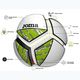М'яч футбольний Joma Challenge II white/green розмір 3 5