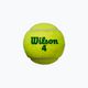 Тенісні м'ячі дитячі Wilson Starter Play Green 4 шт. жовті WRT137400 3