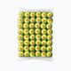 Тенісні м'ячі дитячі Wilson Starter Orange Tball 48 шт. жовті WRT13730B