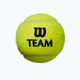 М'ячі тенісні Wilson Team Practice 4 шт. жовті WRT111900 2