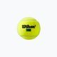 Тенісні м'ячі Wilson Tour Premier All Ct 3 шт. жовті WRT109400 3