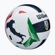 М'яч волейбольний Wilson Italian League VB Official Gameball розмір 5 2