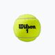 Тенісні м'ячі Wilson Roland Garros Clay Ct 3 шт. жовті WRT125000 3