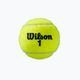 Тенісні м'ячі Wilson Roland Garros All Ct 3 шт. жовті WRT126400 2