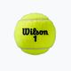 М'ячі тенісні Wilson Roland Garros All Ct 4 Ball 2Pk 8 шт. жовті WRT116402 4