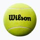 М'яч тенісний для автографів Wilson Roland Garros Mini Jumbo 5" yellow