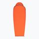 Спальний мішок Sea to Summit Reactor Extreme Sleeping Bag Liner Mummy CT пряний апельсин/білуга