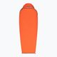 Спальний мішок Sea to Summit Reactor Extreme Sleeping Bag Liner Mummy ST пряний апельсин/білуга