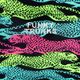 Плавки чоловічі Funky Trunks Sidewinder Trunks кольорові FTS015M7153330 4