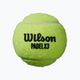 М'ячі для падл-тенісу Wilson Padel Speed Ball 3 шт. жовті WR8901101001 2