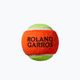 Набір для тенісу дитячий Wilson Roland Garros Elite 25 помаранчево-білий WR086810F 14