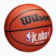 М'яч баскетбольний дитячий Wilson NBA JR Fam Logo Indoor Outdoor brown розмір 5 2
