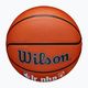 М'яч баскетбольний Wilson NBA JR Fam Logo Authentic Outdoor brown розмір 6 4