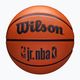 М'яч баскетбольний Wilson NBA JR Drv Fam Logo brown розмір 7