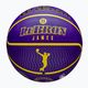 М'яч баскетбольний Wilson NBA Player Icon Outdoor Lebron blue розмір 7 7