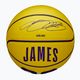 М'яч баскетбольний дитячий Wilson NBA Player Icon Mini Lebron yellow розмір 3 4