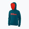 Кофта тенісна дитяча Wilson Script Cotton PO Hoody блакитна WRA769219 5