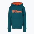 Кофта тенісна дитяча Wilson Script Cotton PO Hoody блакитна WRA769219