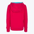 Кофта тенісна дитяча Wilson Script Cotton PO Hoody рожева WRA769221 2