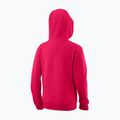 Кофта тенісна дитяча Wilson Script Cotton PO Hoody рожева WRA769221 6