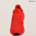 Кросівки для бігу чоловічі PUMA Softride Enzo Evo high risk red/puma black 19