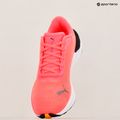 Кросівки для бігу жіночі PUMA Electrify Nitro 3 Fade sun stream/sunset glow/puma white 18