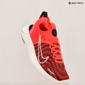 Кросівки для бігу жіночі Nike Free RN NN aster pink/hot punch/light iron ore/black 9