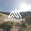 Рюкзак туристичний Gregory Kiro 24 л RC lava red 5