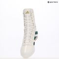 Кросівки боксерські adidas Box Hog 4 cloud white/collegiate green/core black 19