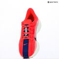 Кросівки для бігу жіночі Nike Pegasus Plus bright crimson / deep royal blue / silt red 12