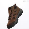 Черевики трекінгові чоловічі Helly Hansen Switchback Low 3 HellyTech bushwacker/coffe bean 12