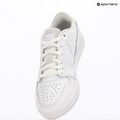 Кросівки чоловічі Nike Jordan Access Court Low white/pure platinum 10